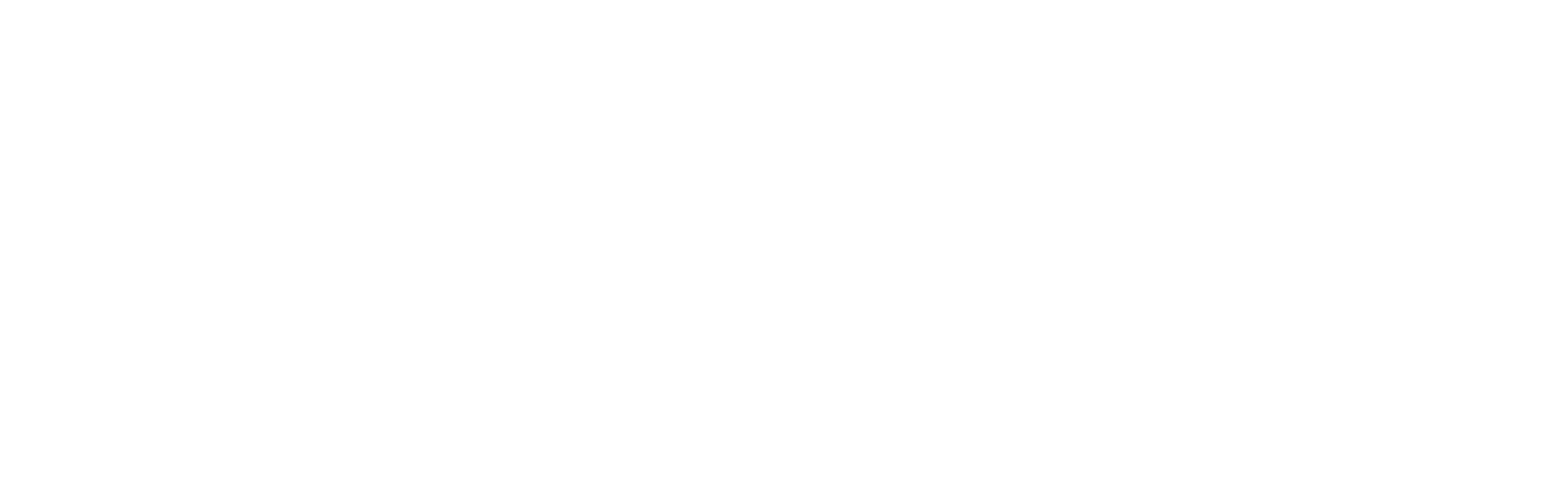 Large White Logo
